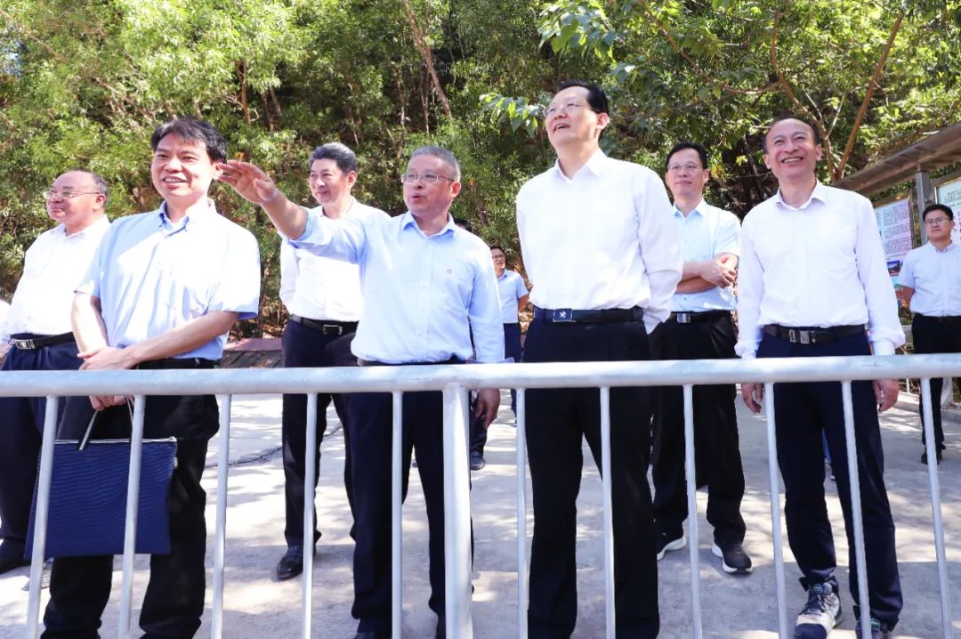 自然資源部到海南礦業(yè)開(kāi)展新一輪找礦突破戰(zhàn)略行動(dòng)專題調(diào)研