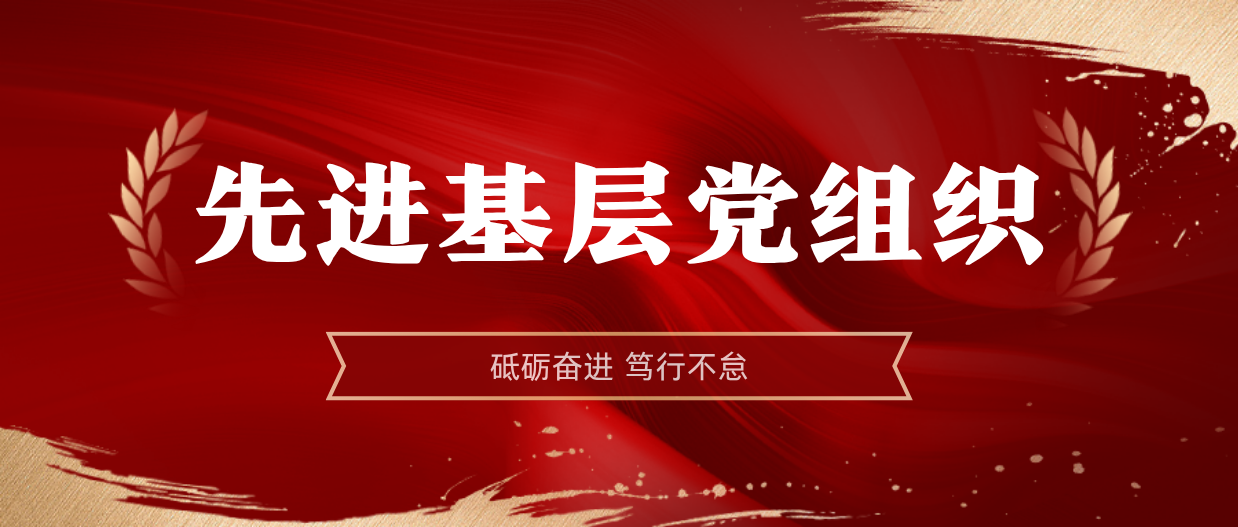 弘揚(yáng)榜樣精神 | 海南礦業(yè)2024-2025年度先進(jìn)基層黨組織