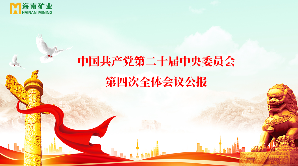 海南礦業(yè)黨委學(xué)習(xí)貫徹黨的二十屆四中全會(huì)精神